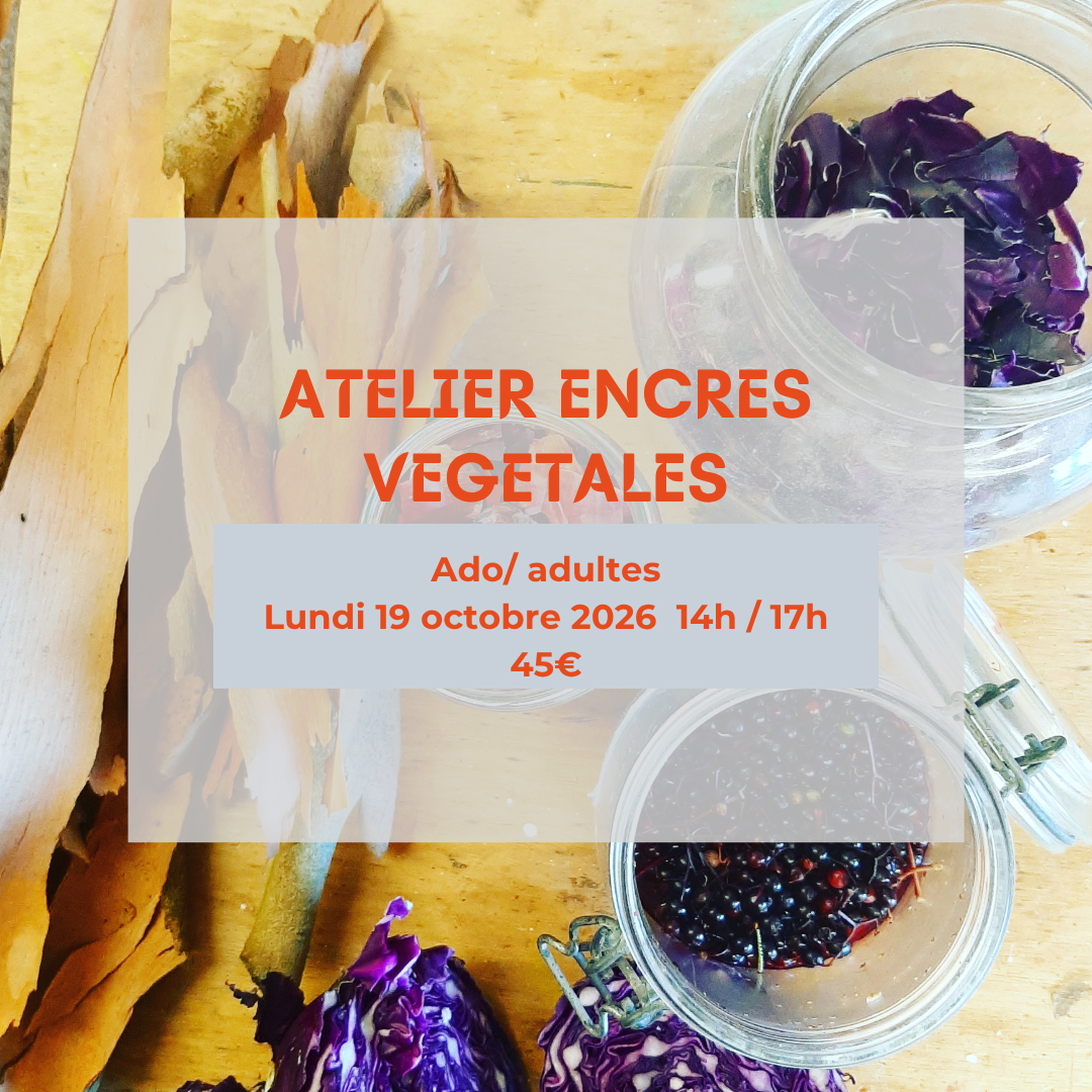 Atelier encres végétales Adultes