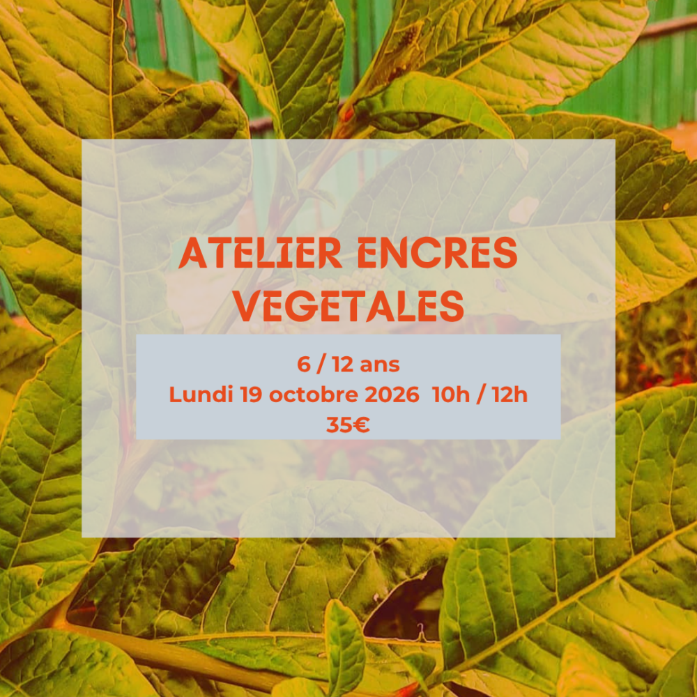 Atelier encres végétales 6/12ans